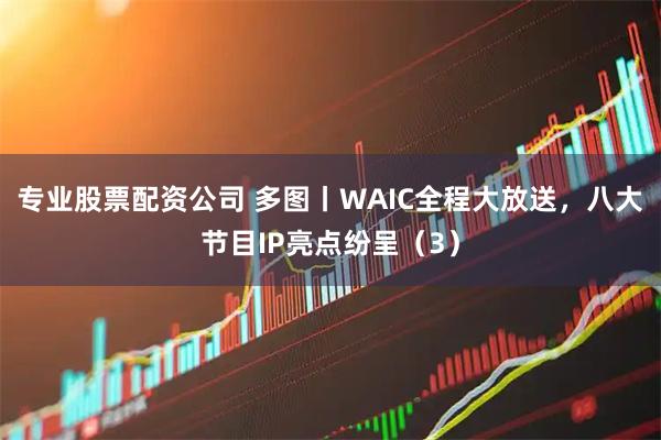 专业股票配资公司 多图丨WAIC全程大放送，八大节目IP亮点纷呈（3）