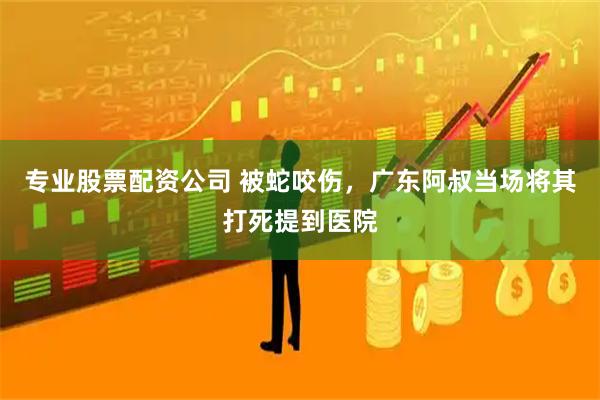 专业股票配资公司 被蛇咬伤，广东阿叔当场将其打死提到医院