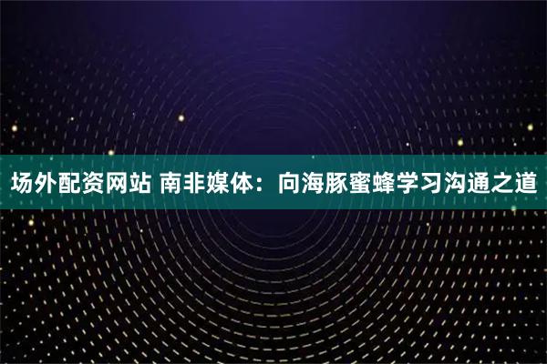 场外配资网站 南非媒体：向海豚蜜蜂学习沟通之道